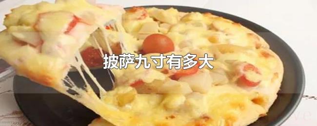 披萨九寸有多大 披萨九寸有多大