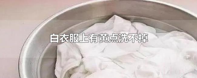 白衣服上有黄点洗不掉
