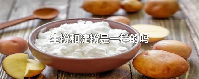 生粉和淀粉是一样的吗