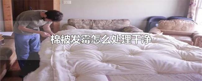 棉被发霉怎么处理干净