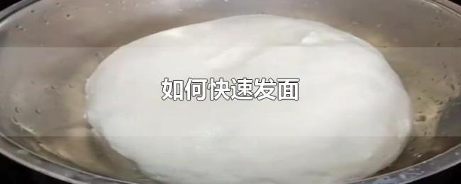 如何快速发面