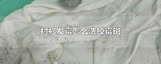 衬衫发霉怎么洗掉霉斑 衬衫发霉怎么洗掉霉斑