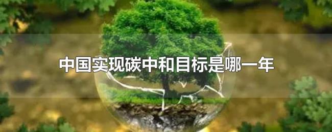 中国实现碳中和目标是哪一年