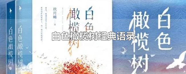 白色橄榄树经典语录