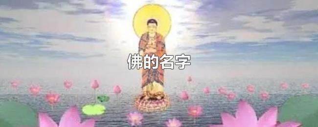 佛的名字 佛的名字