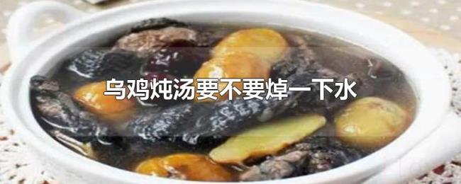 乌鸡炖汤要不要焯一下水