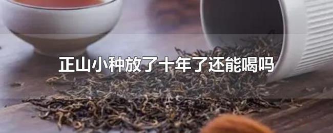 正山小种放了十年了还能喝吗 正山小种放了十年了还能喝吗