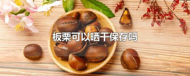 板栗可以晒干保存吗