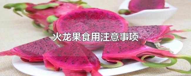 火龙果食用注意事项