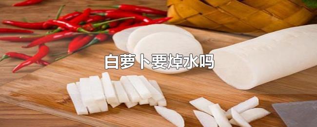 白萝卜要焯水吗