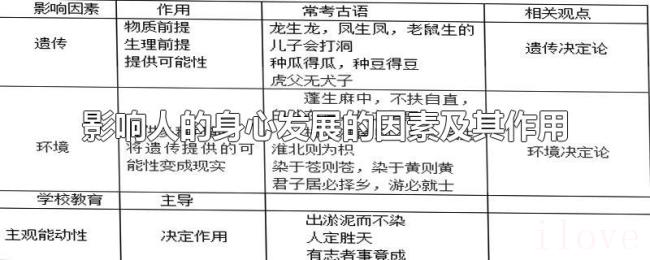 影响人的身心发展的因素及其作用