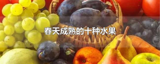 春天成熟的十种水果