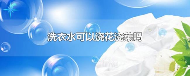 洗衣水可以浇花浇菜吗 洗衣水可以浇花浇菜吗