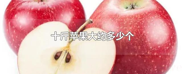 十斤苹果大约多少个 十斤苹果大约多少个