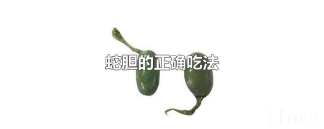 蛇胆的正确吃法 蛇胆的正确吃法