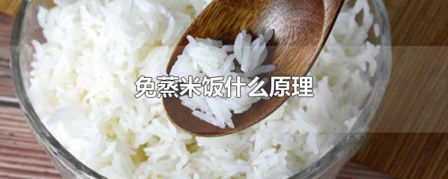 免蒸米饭什么原理