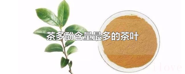 茶多酚含量最多的茶叶