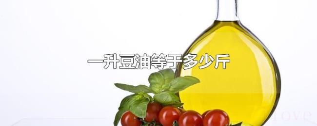 一升豆油等于多少斤 一升豆油等于多少斤