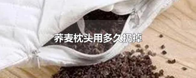 荞麦枕头用多久扔掉 荞麦枕头用多久扔掉