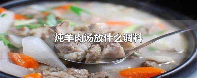 炖羊肉汤放什么调料