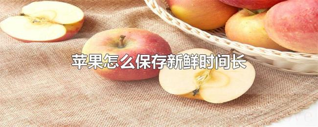 苹果怎么保存新鲜时间长