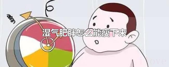 湿气肥胖怎么能瘦下来
