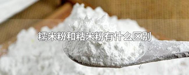 糯米粉和粘米粉有什么区别 糯米粉和粘米粉有什么区别