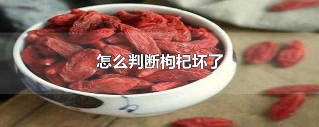 怎么判断枸杞坏了