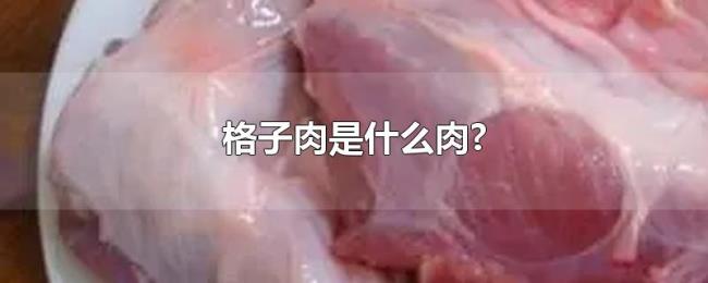 格子肉是什么肉? 格子肉是什么肉?