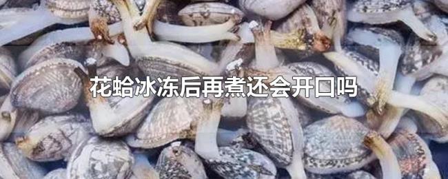 花蛤冰冻后再煮还会开口吗