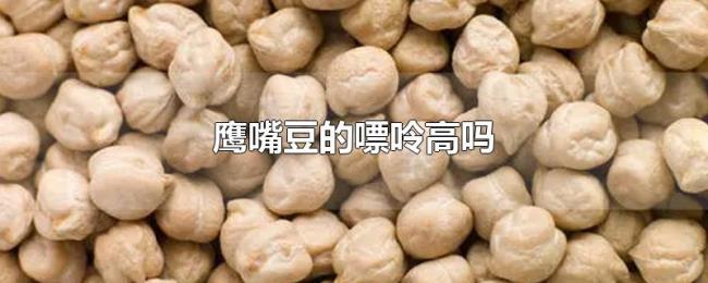 鹰嘴豆的嘌呤高吗