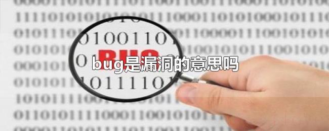 bug是漏洞的意思吗 bug是漏洞的意思吗