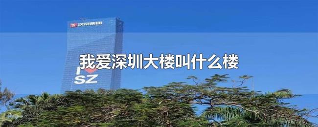 我爱深圳大楼叫什么楼