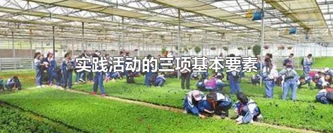 实践活动的三项基本要素
