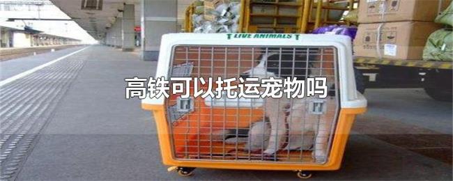 高铁可以托运宠物吗 高铁可以托运宠物吗