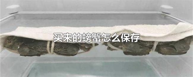 买来的螃蟹怎么保存 买来的螃蟹怎么保存