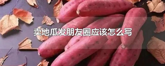卖地瓜发朋友圈应该怎么写
