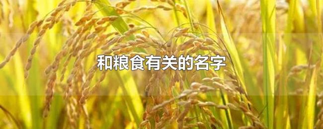 和粮食有关的名字 和粮食有关的名字