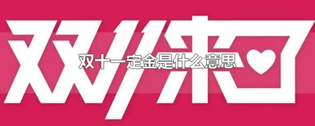 双十一定金是什么意思