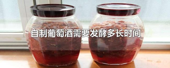 自制葡萄酒需要发酵多长时间 自制葡萄酒需要发酵多长时间