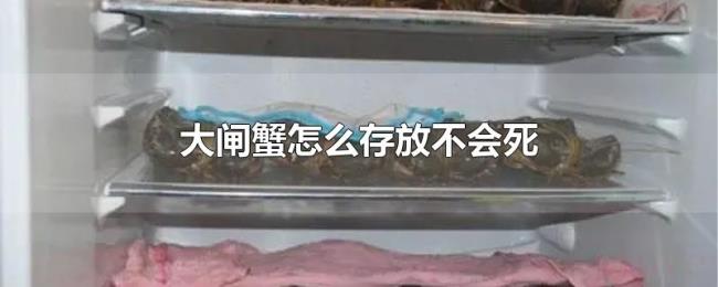 大闸蟹怎么存放不会死 大闸蟹怎么存放不会死