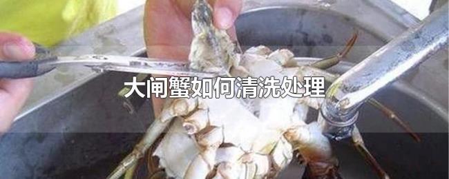 大闸蟹如何清洗处理 大闸蟹如何清洗处理