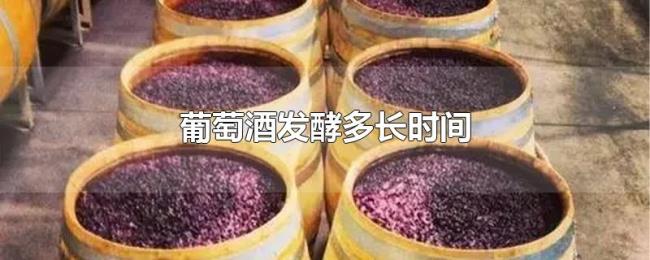 葡萄酒发酵多长时间