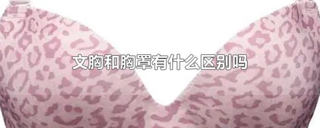 文胸和胸罩有什么区别吗 文胸和胸罩有什么区别吗