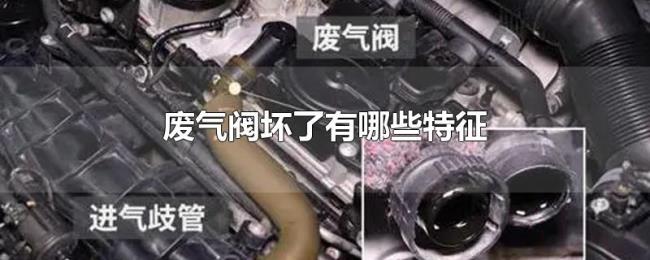 废气阀坏了有哪些特征