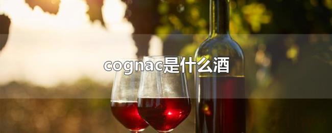 cognac是什么酒 cognac是什么酒