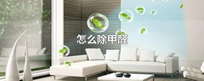 怎么除甲醛
