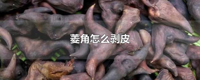 菱角怎么剥皮 菱角怎么剥皮