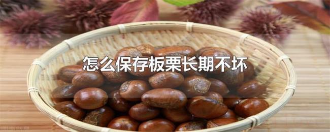 怎么保存板栗长期不坏