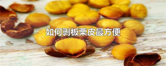 如何剥板栗皮最方便